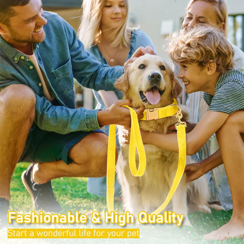 GAMUDA Velvet Dog Collar and Leash, Super Soft Heavy Duty with Gold Buckle, Adjustable Collar for Dog (XS, Yellow)