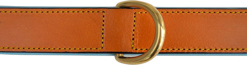 Padded Leather Dog Collar, Tan and Teal, Medium Size, 20" Long x 1" Wide, Neck Size 14.5" to 17.5"