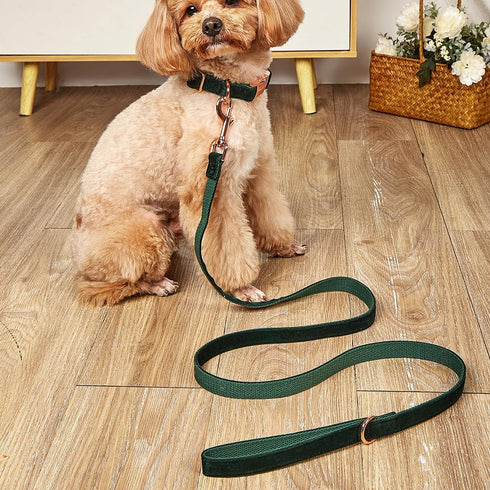 Dog Collar and Leash Set, Soft & Comfy Velvet Collar and Leash with Heavy Duty Metal Buckle, Adjustable for Small