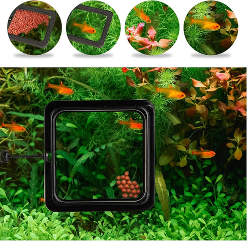 ZRDR Fish Feeding Ring, 2 Pack Black Aquarium Floating Food Feeder Circle with Flexible Lever and Suction Cup