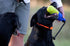 Dog Training Tools – Deluxe Training Dummy for Hunting and Sporting Dogs, Dog Bumper Retriever, Color-Spectrum Analysis