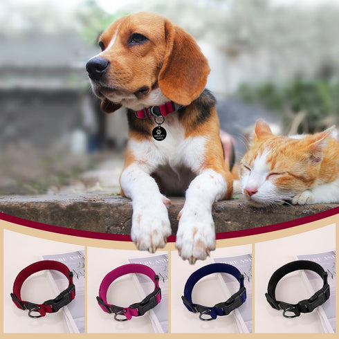 Medium Dog Collar for Mini Dogs, Cotton Collar with Buckle, D-Ring, and Removable Tag (13.7"-19.7" L, 1" W)