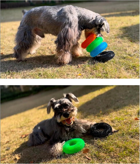 ADUCK Dog Squeaky Chew Toys for Aggressive Chewers - Dental Teething Cleaning (Non-Toxic Soft Natural Rubber), Cute