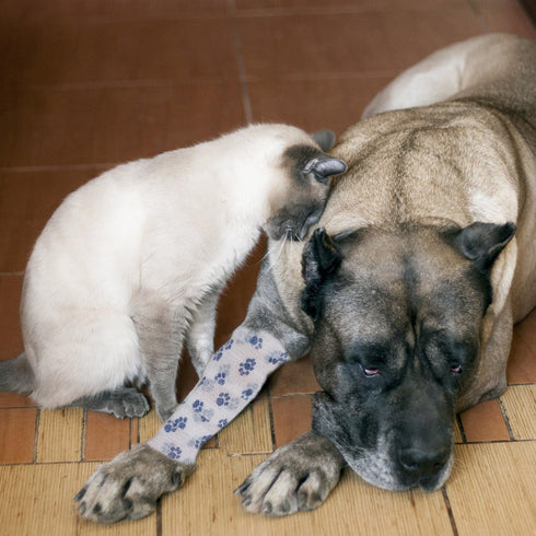 Pet Cohesive Bandage Wrap Tape, Self-Adhering Elasticity Gauze Rolls for Dogs, Cats, Horses, Birds (White and Blue)