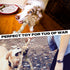Fida Large Dog Rope Toys for Aggressive Chewers, 29" Indestructible Tug of War Toy with 3 Knots and Handle, Natural