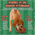 Boundless Hound 5C Food Puzzle Feeder for Large or Medium Dogs, Mentally Stimulating Enrichment Toy, Made in USA