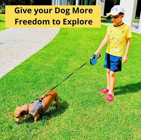 Dog Leash - Retractable Leash for Pets, Puppies, Small and Medium Breeds, Tangle Free 16FT Extendable Leash with