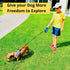 Dog Leash - Retractable Leash for Pets, Puppies, Small and Medium Breeds, Tangle Free 16FT Extendable Leash with