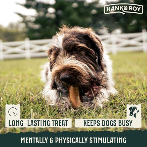 8-10 Hank & Roy All-Natural, Single-Ingredient Beef Rib Bones for Dogs, Long Lasting, Engaging Dog Bones, Individually