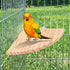 Trinkrittey 6.7 Inches Bird Perch Platform Stand Wooden Parrot Perch Corner Fan Shape Playground Cage Accessories