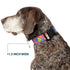 Buckle-Down Plastic Clip Collar - Large Ariel/Flounder/Fish Trio Poses Pinks - 1.5" Wide - Fits 18-32" Neck