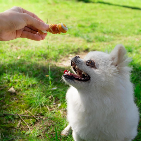 MON2SUN 2.5" 21.2oz Rawhide Free Dog Treats with Mixed Vegetables, Chicken Wrapped Mini Knot Bones for Small Dogs