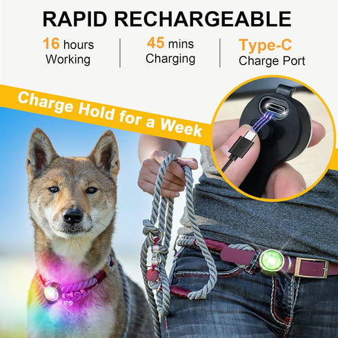 2-Pack Dog Lights for Night Walking, Upgraded Rechargeable Clip-On Collar Lights, IP66 Waterproof
