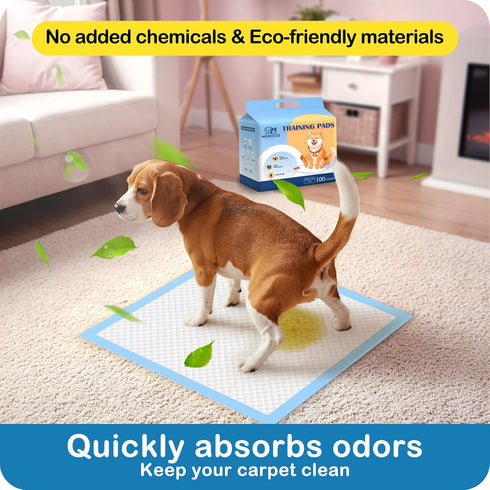 23" 23", 6-Layer 100 Count MoMoCo Puppy Pads x Super Absorbent Dog Pee Pads, Leak-Proof Dog Training Pads for Hardwood