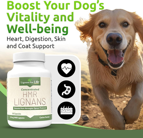 20mg 90 Lignans For Life HMR Lignans - Capsules - Vitamin for Healthy Pet | Natural Multivitamin | Wellness Supplement