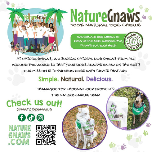 2-4" (8oz) Nature Gnaws Bully Stick Bites for Small Dogs - Long Lasting for Light Chewers and Puppies - Natural Beef
