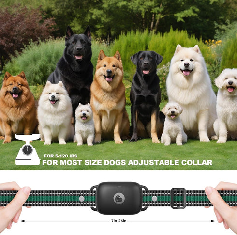 Dog Shock Collar, Training Collar with Remote for Small Medium Large Dogs, Rechargeable with Shock Mode, 3 Safe