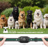Dog Shock Collar, Training Collar with Remote for Small Medium Large Dogs, Rechargeable with Shock Mode, 3 Safe