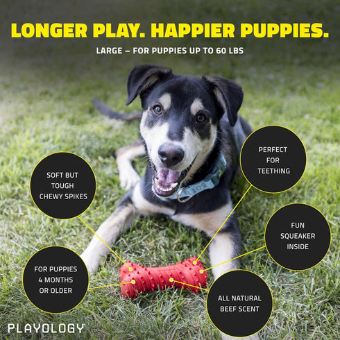 Playology Puppy Teething Bone Dog Toys - Large Chew Toys with Squeaker for Puppies 4-8 Months, All Breeds