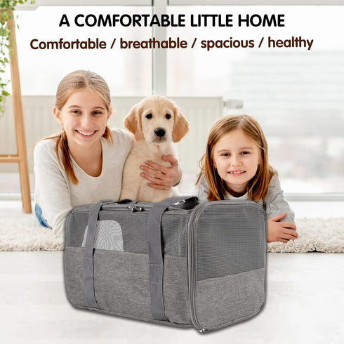 Soft-Sided Cat Carrier Case - Airline Approved with 4 Ventilated Windows for Cats and Dogs under 10-25Lbs (Grey, 17.0 L