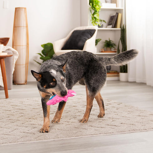 goDog Just For Me Gators Mini Plush Dog Toy - Tough and Squeaky