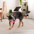 goDog Just For Me Gators Mini Plush Dog Toy - Tough and Squeaky