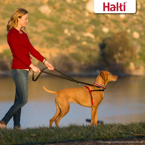 HALTI Front Control Harness Size Large & Training Leash Size Large, Black Combination Pack for Large Dogs