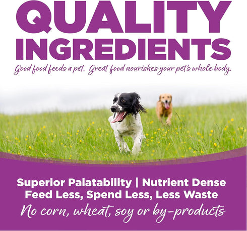 Large Breed Puppy Chicken & Rice Dry Dog Food, 1.5-Lb Bag