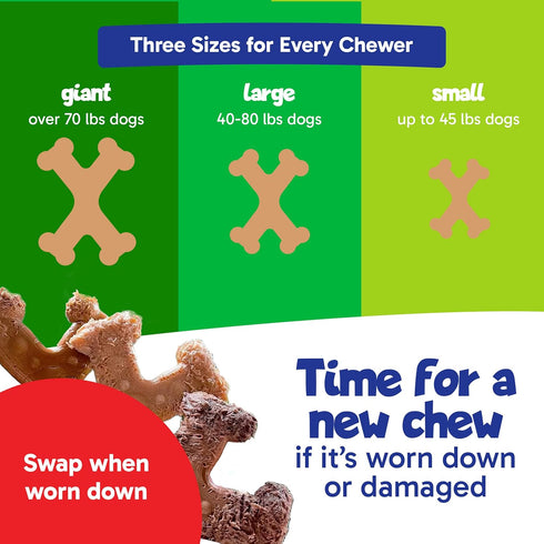 ChewEMS X Bone Dog Chew Toy for Aggressive Chewers Long-Lasting Chicken Flavor Nylon Bone Durable, Rawhide-Free Dental
