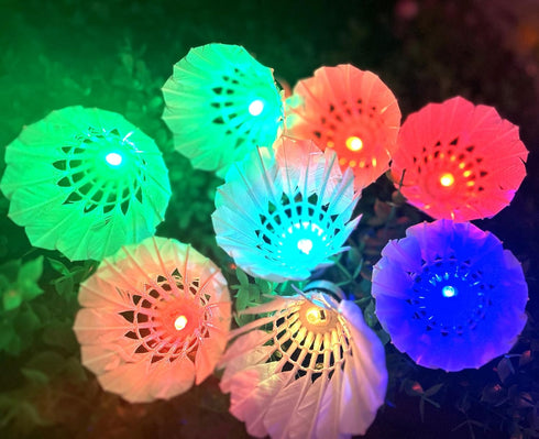 LED Badminton, 10 Pack Colourful Shuttlecock, Dark Night Goose Feather Glow Birdies for Sports Activities
