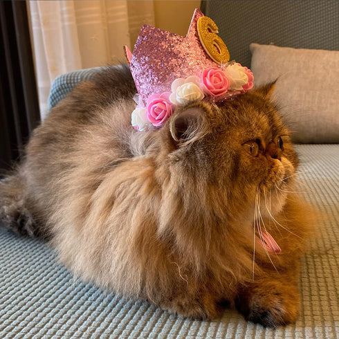 Pet Crown - Reusable Birthday Party Crown for Dog & Cat, Pink with 0-9 Figures Charms
