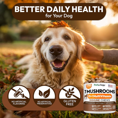 170 Immune Turkey Tail Mushroom for Dogs - Chews - Lions Mane - Shiitake - Reishi - Buddy Support Guard - Mushroom