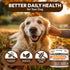 170 Immune Turkey Tail Mushroom for Dogs - Chews - Lions Mane - Shiitake - Reishi - Buddy Support Guard - Mushroom