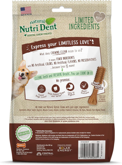 Nylabone Nutri Dent Dog Dental Chews - Medium (20 Count) - Natural Dog Teeth Cleaning & Breath Freshener Treats - Filet
