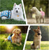 3Pack Reusable Diapers for Female Dog, Washable Diaper for Doggie,Highly Absorbent Dog Diaper,Adjustable Leakproof
