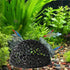 Bingche 30pcs 3-in-1 Hammock Betta Fish Decor Floating Hide Shrimp Cave Aquarium Tank Landscape Shelter Access