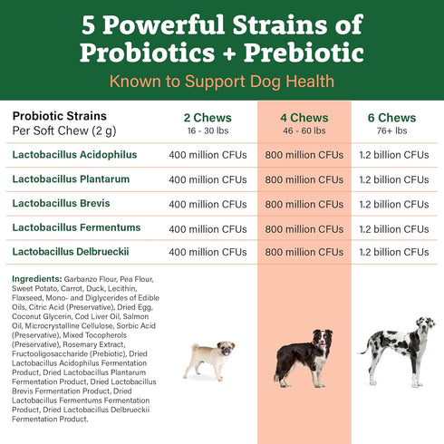 Doggie Dailies Probiotics for Dogs, Advanced Probiotics with Prebiotics, Supports Immune System and Digestive Health