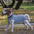 SAWMONG Blue Dog Recovery Suit, Post-Surgery Onesie for Female Dogs, XX-Large Size
