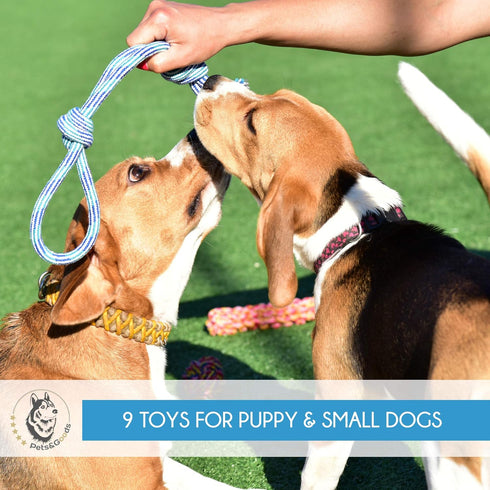 Dog Rope Toy for Active Chewers, Heavy Duty Washable 100% Cotton Chew Toys, Tug of War Toy, Pack of 9 for Small Breeds