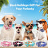 Cute Dog Collar - Fancy Floral Boy Dog Collar with Sunflower Bowtie for Small Medium Large Dogs, Spring Summer Design