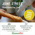 HomeoPet Joint Stress, Joint Support for Dogs and Cats, 15 Milliliters