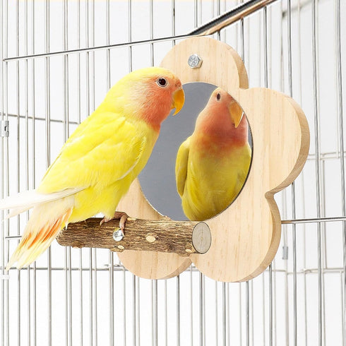 Parrot Perch Stand with Mirror & Chew Toys Natural Wood Bird Play Gym for Cockatiels, Conures, Parakeets, Lovebirds