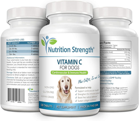 Vitamin C for Dogs to Support Cardiovascular Health, Immune System, Free Radical Defenses, 120 Chewable Tablets