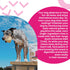 5ct I and love and you Ear Candy Cow Ear Chews - Beef - Rawhide Alternative, Single Ingredient, Free Range Grass Fed