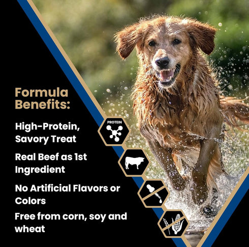 Immune 14 oz VICTOR Super Premium Dog Treats Classic Hi-Pro Savory Strips with Real Beef Supports System, Digestive