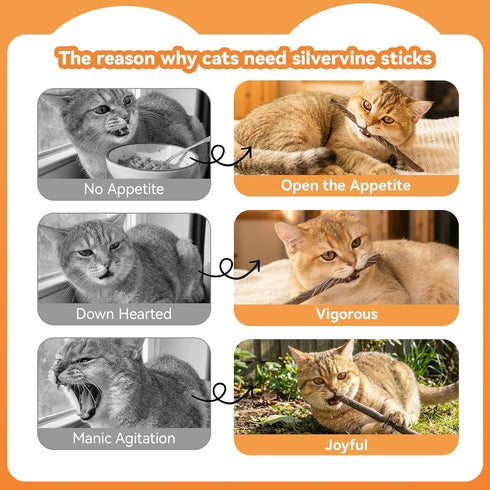 5 Pack Silvervine Sticks for Cats, Natural Cat Chew Toys for Teeth Cleaning, Kitten Teething Toys for Indoor Cats