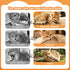 5 Pack Silvervine Sticks for Cats, Natural Cat Chew Toys for Teeth Cleaning, Kitten Teething Toys for Indoor Cats