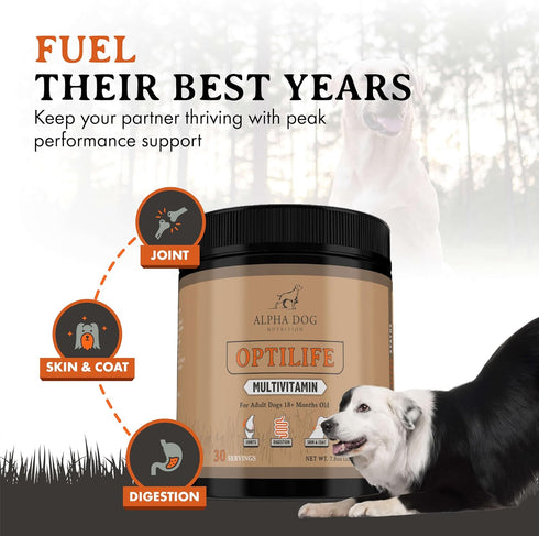 OptiLife Multivitamin for Adult Dogs, Probiotics, Allergy Support, Joint Support, Powder Supplement (30 Servings)