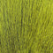 Hareline Dubbin Large Northern Bucktail