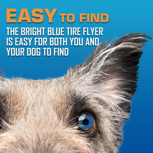 Nerf Dog Tire Flyer Outdoor Dog Toy - 10 Inch Flying Disc for Medium and Large Dogs, Blue